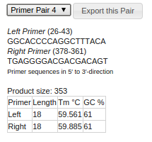 Choose a PCR primer pair