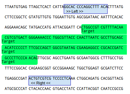 The PCR primer pair is displayed in your DNA sequence