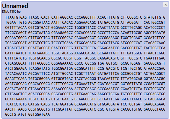 Your DNA sequence is added to the project. Select it by clicking on it.