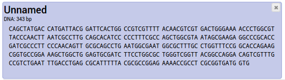 Your DNA sequence is added to your project. Select the sequence by clicking on it