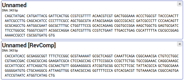 Reverse complement sequence from your original sequence